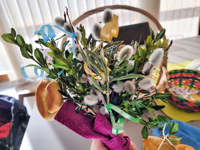 Sozialsprengel IMG-20250409-WA0002