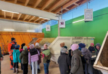 Auf den Spuren des Abfalls