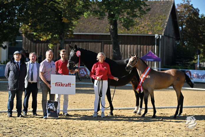 Pferde Ortner IMG_5816