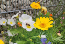 Kössen ist in Bewegung