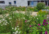 Gartenpracht und Grillgenuss