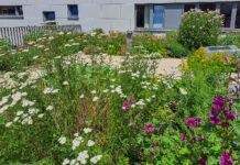 Gartenpracht und Grillgenuss