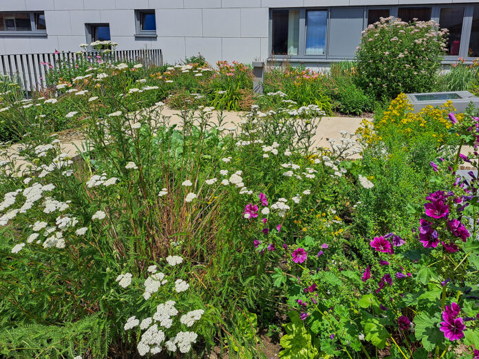 Gm Koessen SZ Garten Sozialzentrum 2026