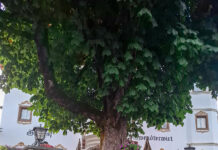 Volksschuldirektorin Heidi Jauk und Kindergarten-Assistenzkraft Brigitta Hechenberger gehen in den wohlverdienten Ruhestand