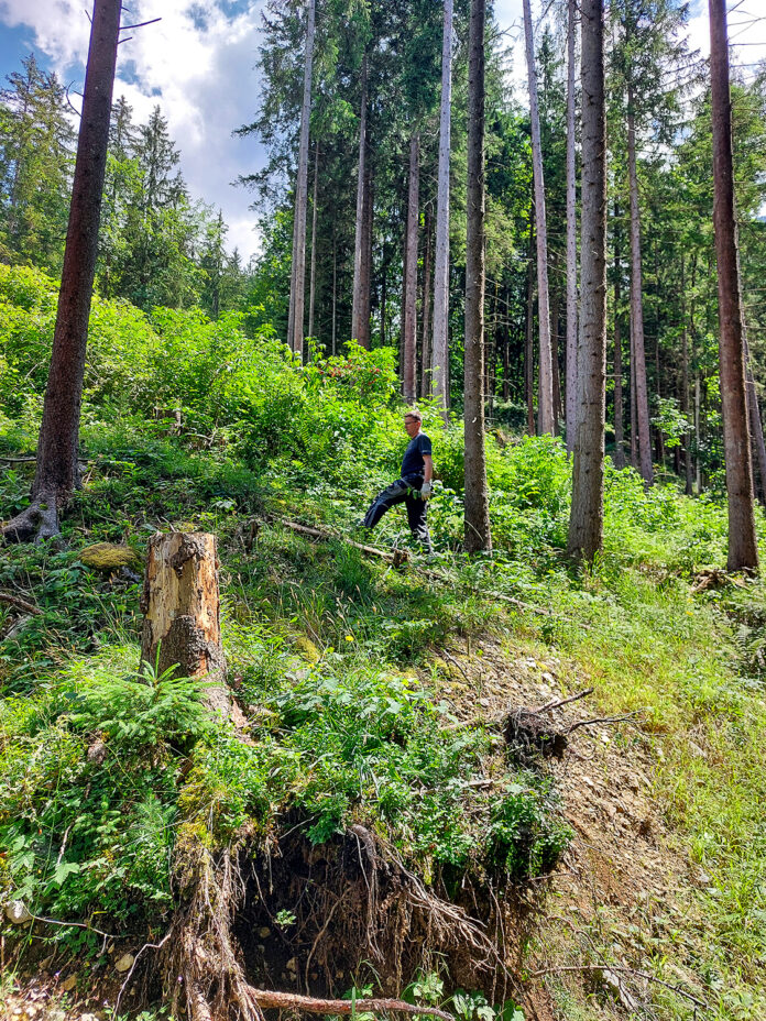 Gm Walchsee 20260702_141316