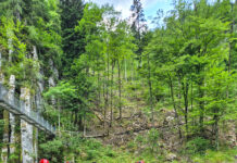 Sprengkörperbergung aus der Kössener Ache