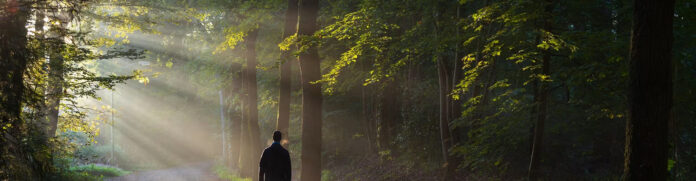 Bestattung Huber und Sturm adobestock_291489786_1_2560x665