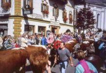 Almabtrieb 1995