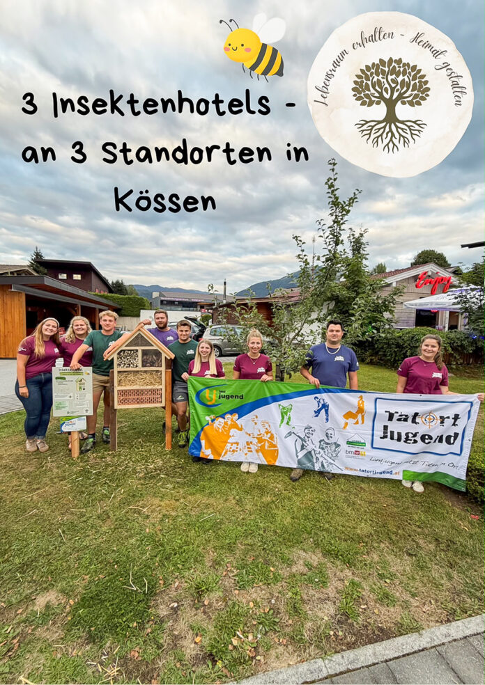 LJ Kössen image2