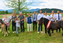 Gelungene Premiere der Ponyzuchtschau West an der LLA Weitau mit Kössener Tagessieg